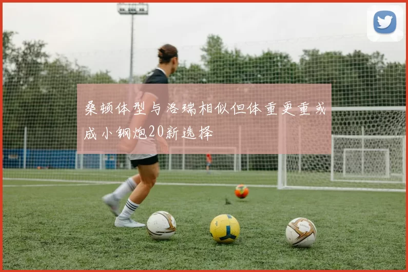 桑顿体型与洛瑞相似但体重更重或成小钢炮20新选择